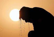 تلفات بیسابقه گرما در آلمان تلفات بیسابقه گرما در آلمان
