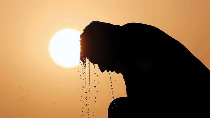 تلفات بیسابقه گرما در آلمان تلفات بیسابقه گرما در آلمان