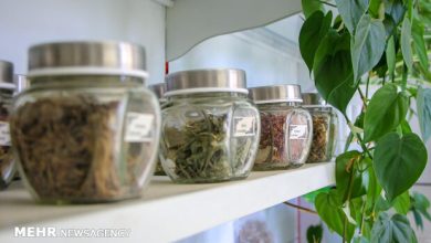 نگاهی به جایگاه داروسازی سنتی در ایران