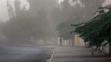 هشدار نسبت به وزش تندباد در تهران| احتمال سقوط برخی اجسام از ارتفاع