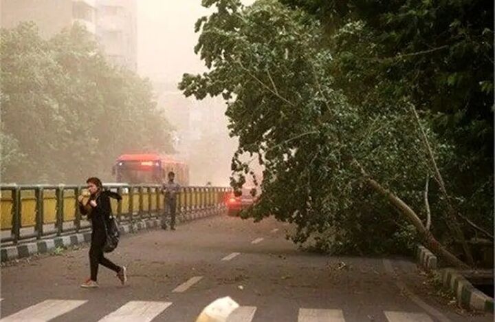 وزش باد شدید در تهران وزش باد شدید در تهران