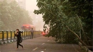 باد شدید و گرد و خاک در تهران| رگبار در ارتفاعات