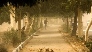 وزش باد همراه با خیزش خاک در تهران