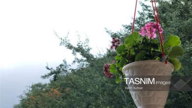 اجرای طرح توسعه گردشگری کشاورزی در 128 روستا کلید خورد اجرای طرح توسعه گردشگری کشاورزی در 128 روستا کلید خورد