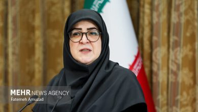 مهاجرانی: فشار اقتصادی نباید خانواده ها را از فرزندآوری دور کند